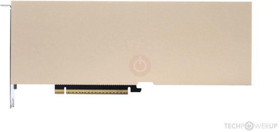 A10G