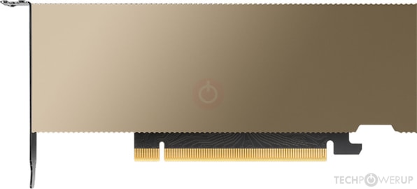 L4